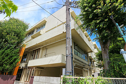 府中市立若松小学校 約640ｍ(徒歩約8分)