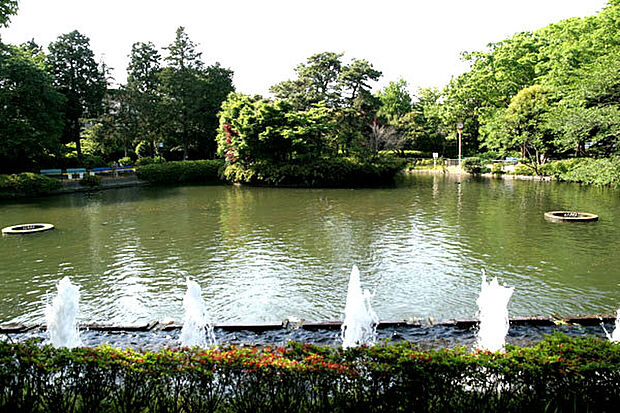 妙正寺公園（約790m）