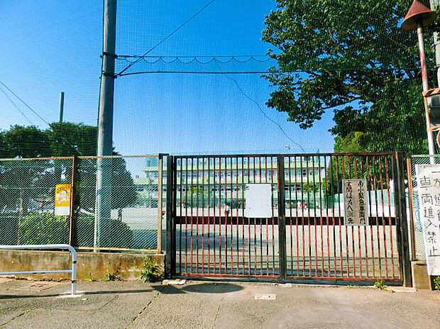小金井市立南小学校（約900m）
