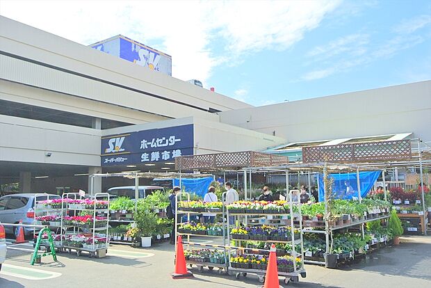 スーパーバリュー練馬大泉店（約917m）