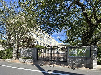 中野区立第七中学校 850ｍ(徒歩約11分)