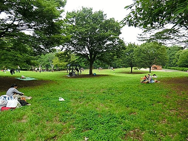 都立祖師谷公園