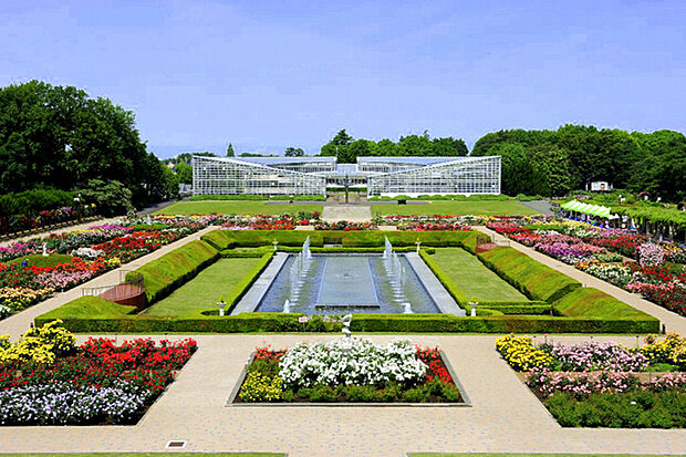 東京都立神代植物公園(約450m)