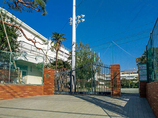 世田谷区立緑丘中学校（約550m）