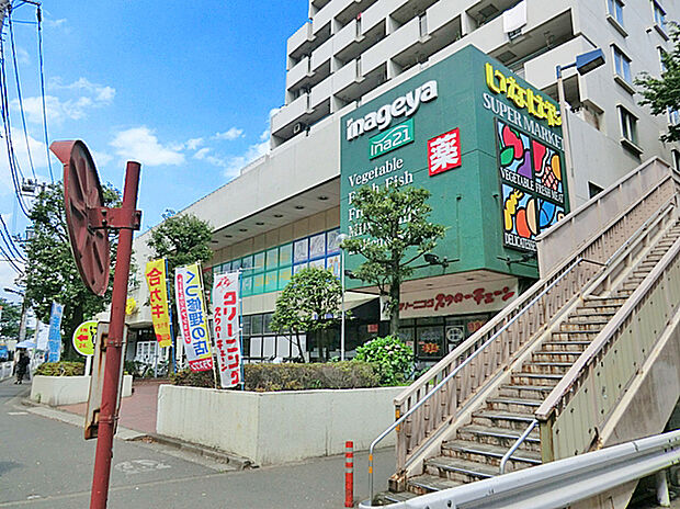 いなげや杉並桜上水店(約550m)