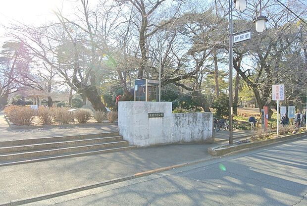 清瀬中央公園