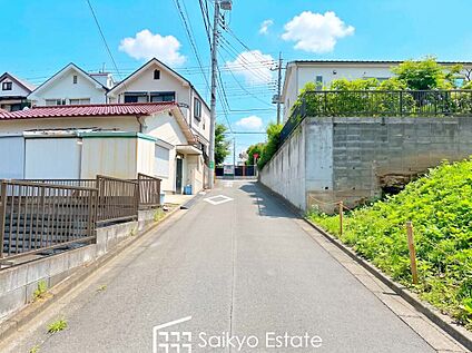 前面道路を含む現地写真