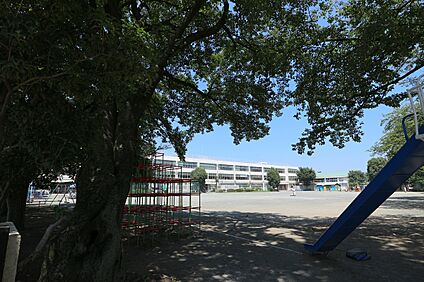 国立市立国立第五小学校 約300ｍ(徒歩約4分)
