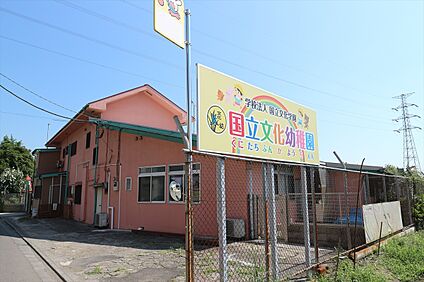 国立文化幼稚園 約531ｍ(徒歩約7分)