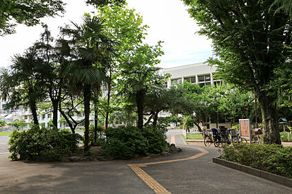府中市立府中第一小学校 約800ｍ(徒歩約10分)