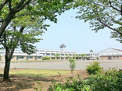稲城市立向陽台小学校 約400ｍ(徒歩約5分)