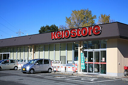 京王ストア 駒井店 約1590ｍ(徒歩約20分)