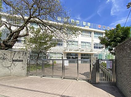 中野区立緑野中学校 約1200ｍ(徒歩約15分)