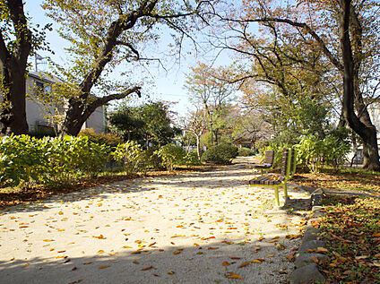 玉川上水第二公園 約325ｍ(徒歩約5分)