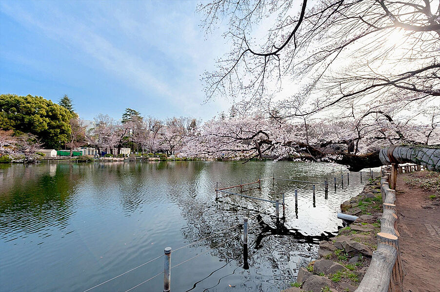 【レジャー】井の頭恩賜公園