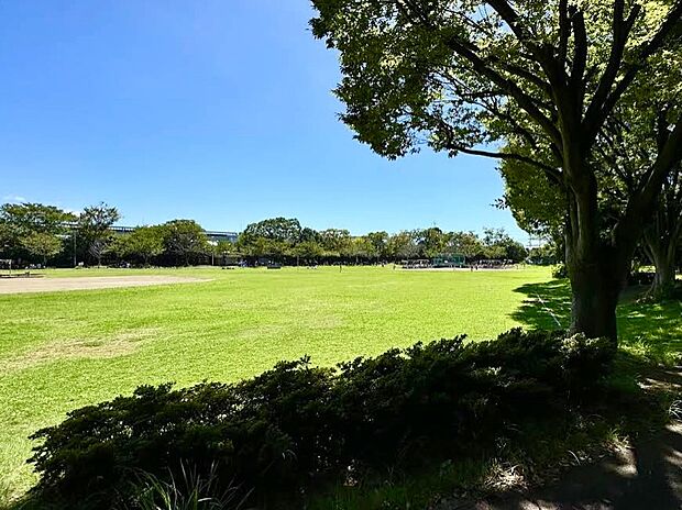 新小岩公園(約1,000m)