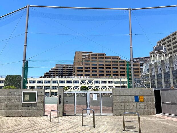 世田谷区立塚戸小学校（約530m）