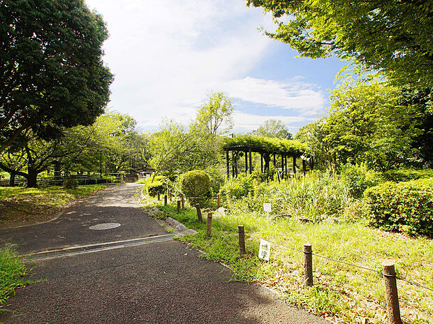 祖師谷公園（約750m）
