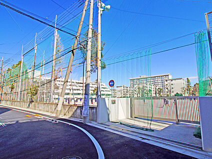 板橋区立志村第四中学校 820ｍ(徒歩11分)