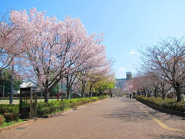 西東京いこいの森公園（約1,300m）