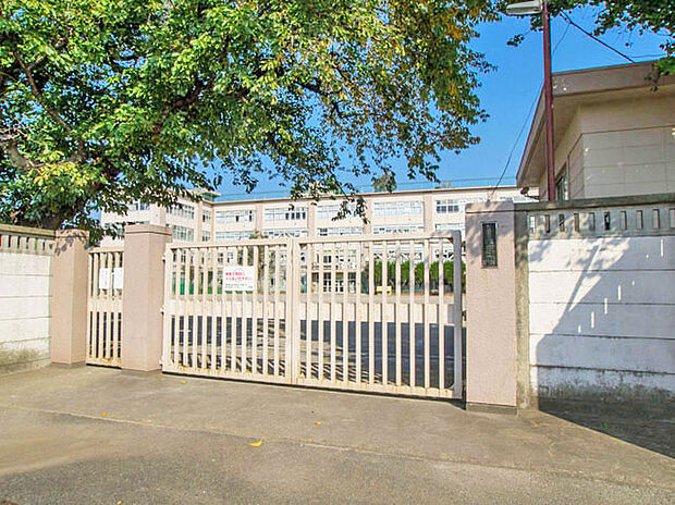 杉並区立西宮中学校（約450m）