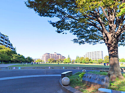 桃井原っぱ公園 230ｍ(徒歩3分)