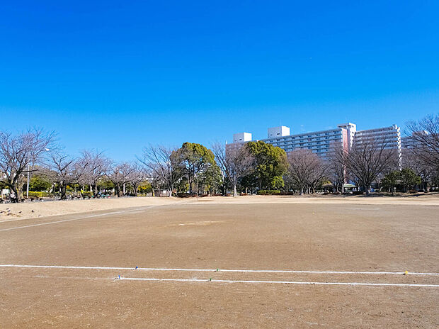 新小岩公園（約1,000m）