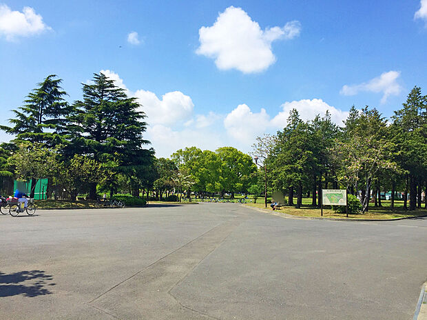 篠崎公園(約650m)