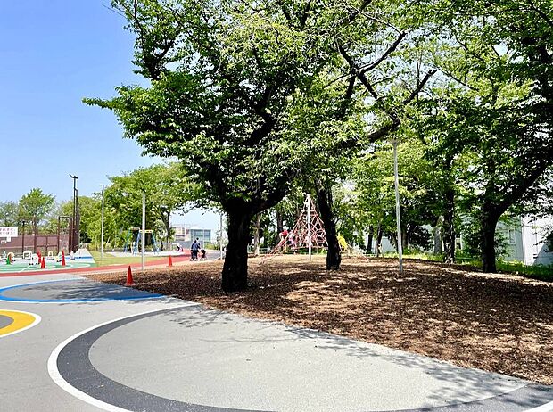 板橋区立小豆沢公園（約600m）