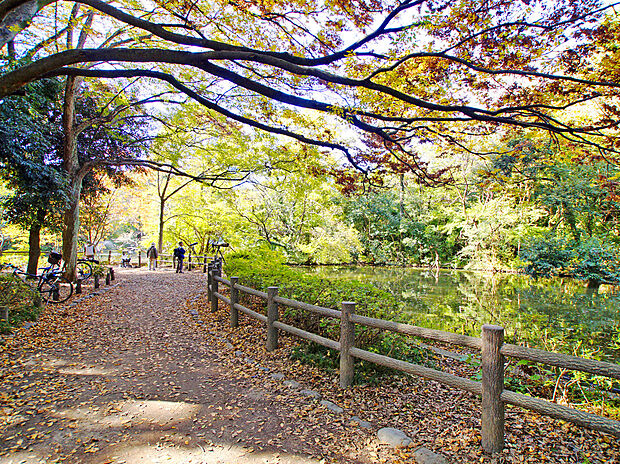 和田堀公園（約1,400m）