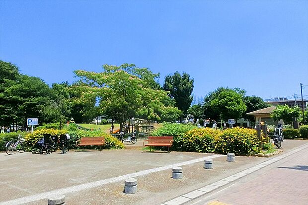 前原公園(とんぼ池公園)（約700m）