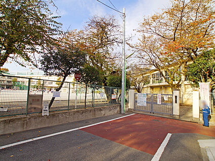 世田谷区立経堂小学校 500ｍ(徒歩7分)
