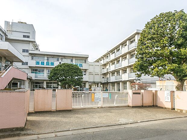 府中市立府中第八中学校