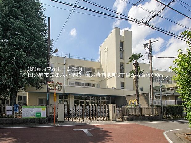 国分寺市立第六小学校（約700m）
