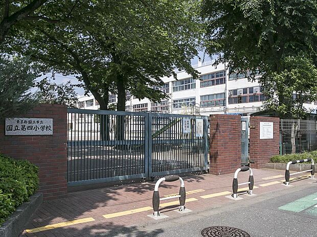 国立市立第四小学校（約550m）