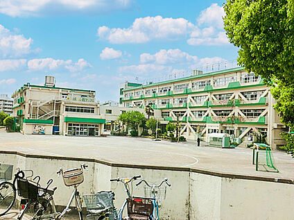 小金井市立緑小学校 300ｍ