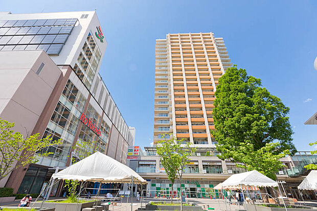 イトーヨーカドー武蔵小金井店（約880m）