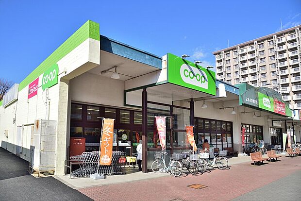 コープ調布染地店（約500m）