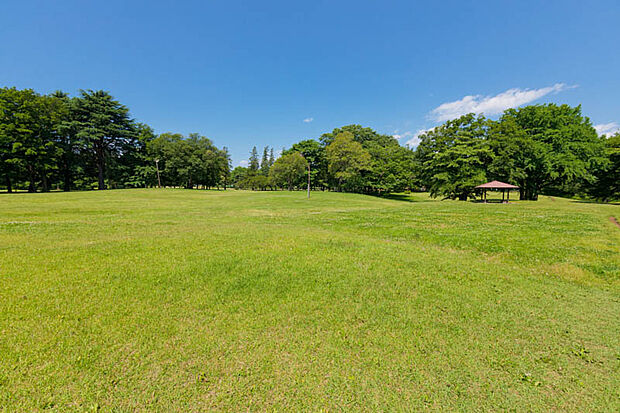 野川公園（約980m）