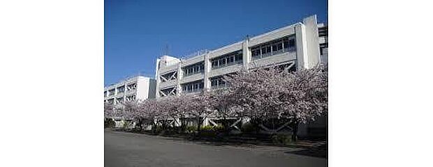 多摩市立多摩中学校(約1,400m)