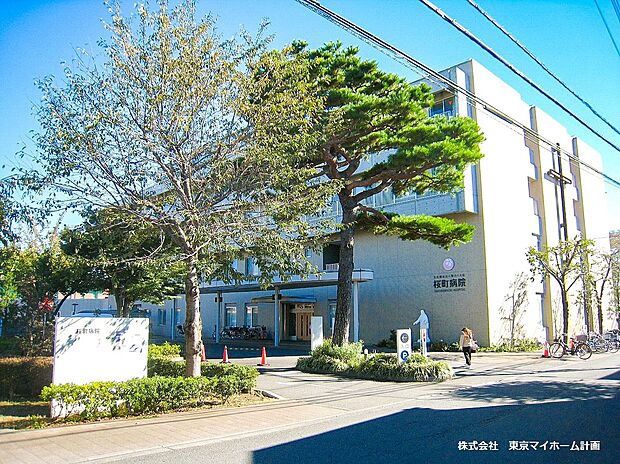 桜町病院(約700m)