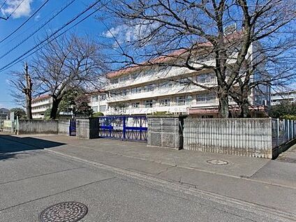 小金井市立小金井第四小学校 1260m