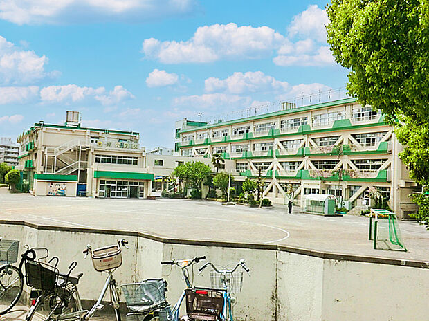小金井市立緑小学校(約800m)