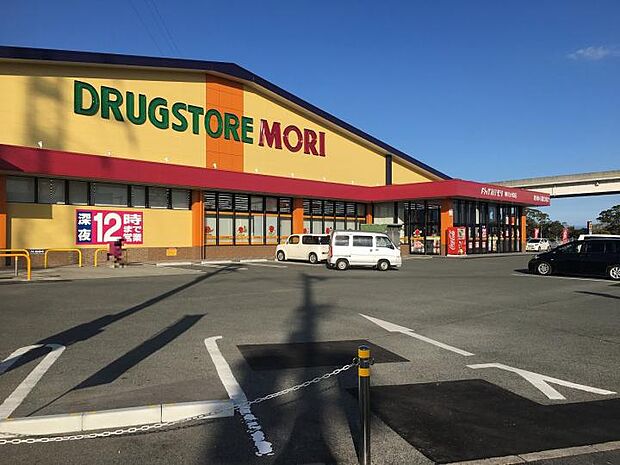 ドラッグストアモリ 柳川大和店(約1,160m)