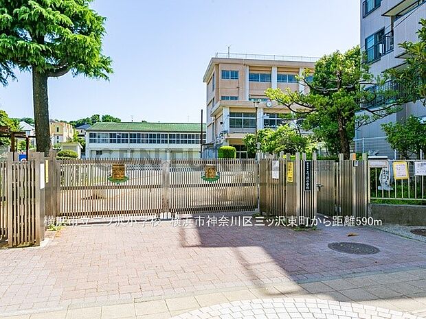 横浜市立三ツ沢小学校(徒歩8分)