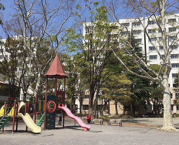 平川町公園(約800m)