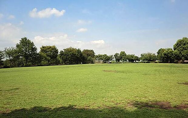 今川公園（約300m）