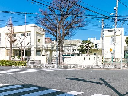 横浜市立星川小学校 500m(7分)