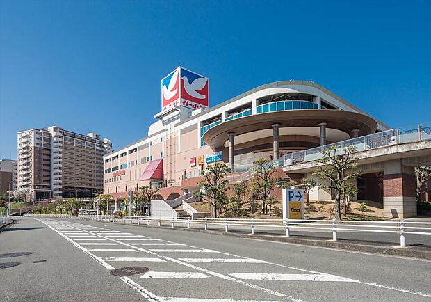 イトーヨーカドー能見台店（約800m）