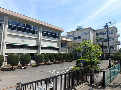 町田市立薬師中学校 1250ｍ(徒歩16分)
